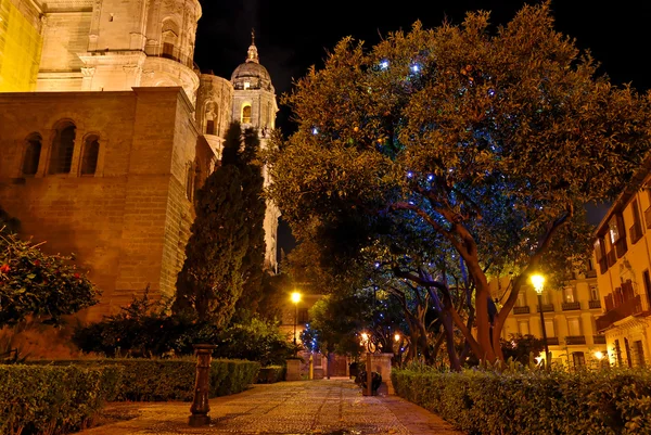 Cattedrale di notte - Spagna — Foto Stock