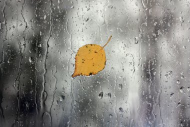 Rain on window with leaf clipart
