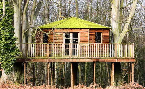 Luksusowy domek na drzewie w lesie — Zdjęcie stockowe