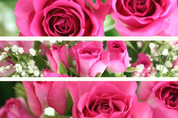 Τρεις ροζ τριαντάφυλλα τοπίο εικόνες — Φωτογραφία Αρχείου