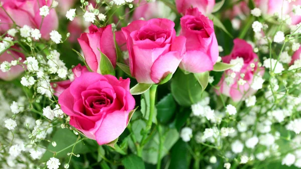 분홍빛 장미 꽃다발을 가까이 대고 — 스톡 사진