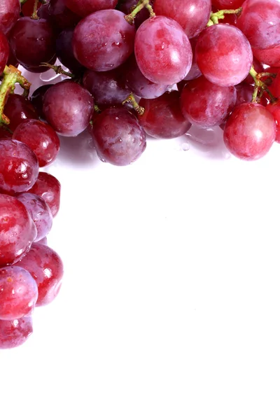 Red grapes with white copy space — Stock Photo, Image