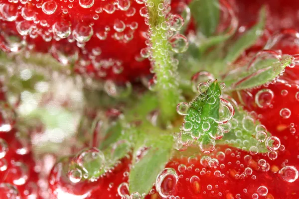 Macro de fresa en agua — Foto de Stock