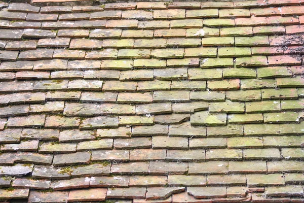 Old English roof — Stock Photo, Image