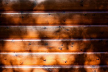 Wooden cladding in dappled sunlight clipart