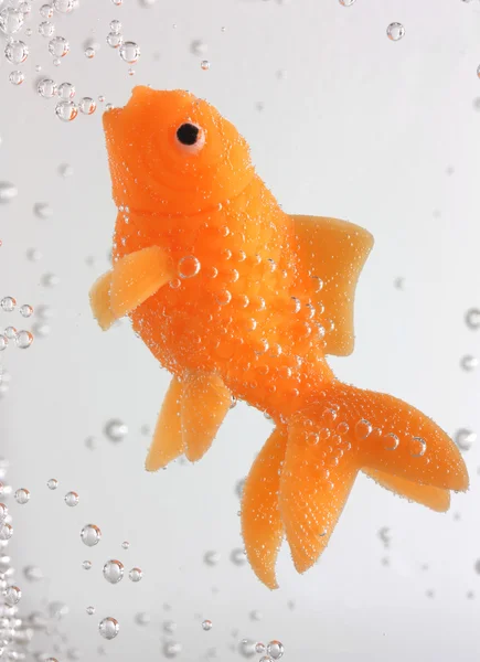 Goldfish swimming with bubbles — Stock Photo, Image