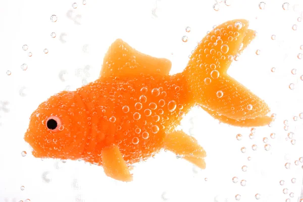 Goldfische unter Wasser — Stockfoto