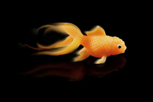 Speedy goldfish on a black background — Stock Photo, Image