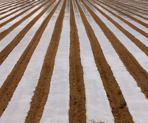 stock image Cultivated farmland