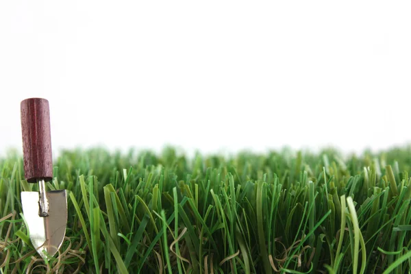 Borde de hierba con paleta —  Fotos de Stock