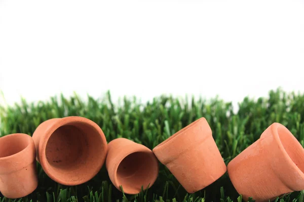 Pots and grass border with copy space — Stock Photo, Image