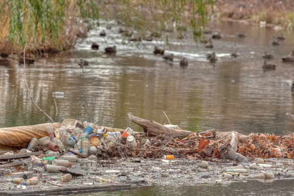Lixo reciclável deixado perto de uma lagoa de pato — Fotografia de Stock