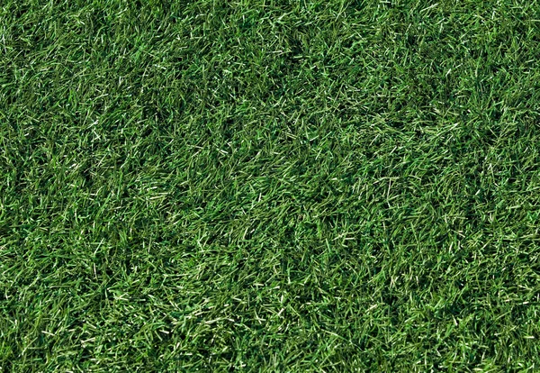 stock image Artificial grass