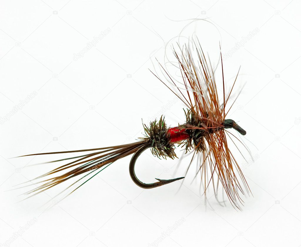 Dry (trout) fly called a Royal Wulff