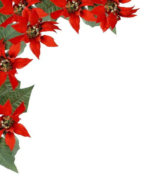 Christmas Poinsettia Border — Stock Photo, Image