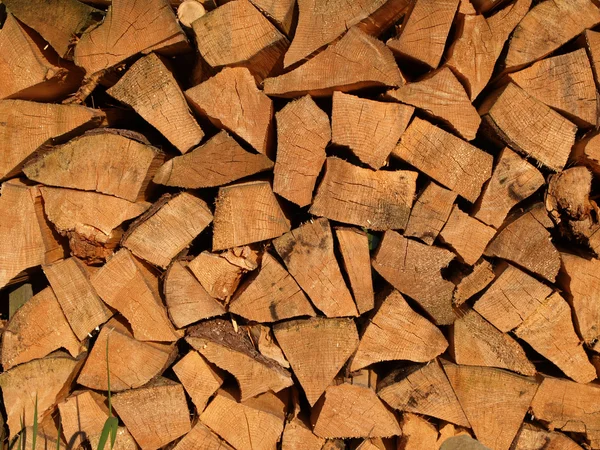 stock image Wood logs