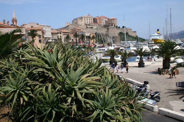 Medelhavsområdet seaside city - Korsika — Stockfoto
