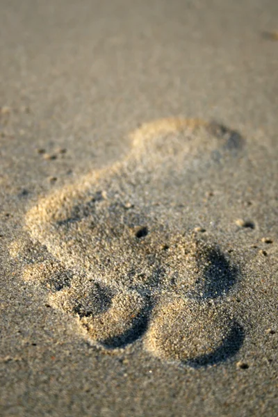 stock image Summer beach. Footprint in sand.