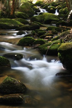 Stream with boulders in the forest clipart