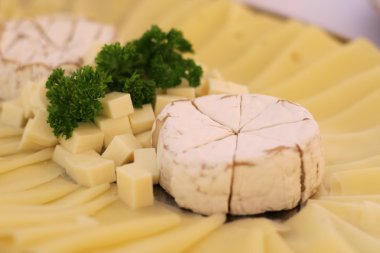 Peynir tabağı