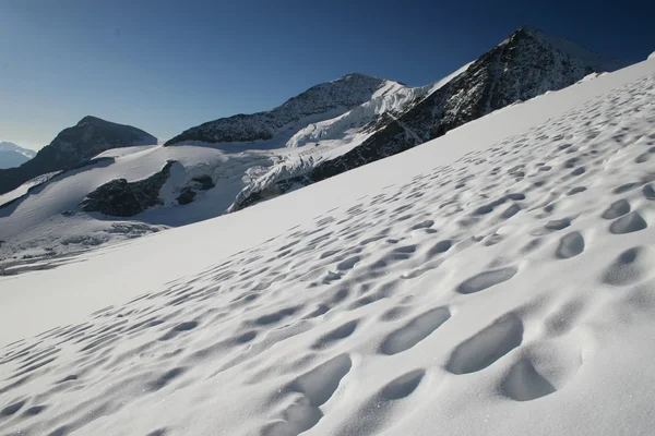 Path on a glacier — Stock Photo, Image