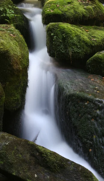 Stream of water — Stock Photo, Image