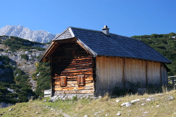 山中の丸太小屋 — ストック写真