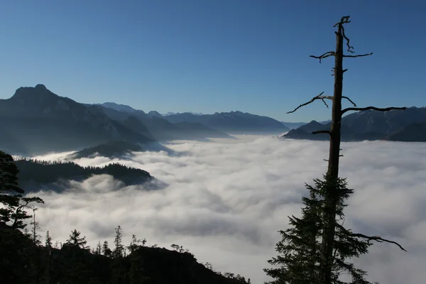 stock image Mountain inversion