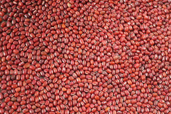 Red beans texture — Stock Photo, Image
