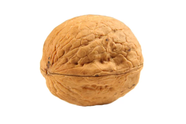 Орех изолирован — стоковое фото