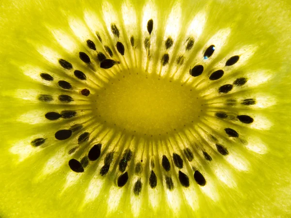 stock image Kiwi background