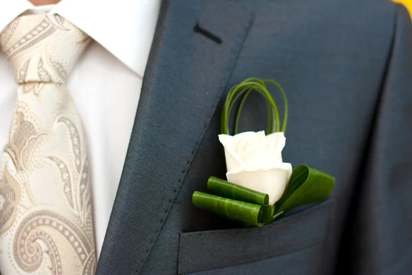 Rose in a suit — Stock Photo, Image