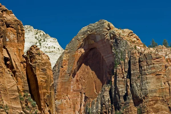 stock image Arch at Zion National Park, Utah