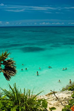 Cancun Beach