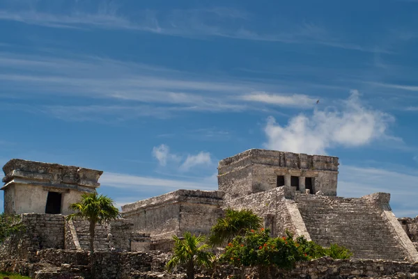 stock image Tulum ruins