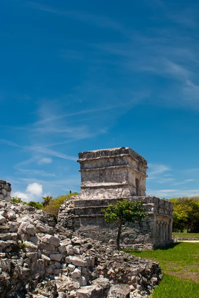 stock image Tulum ruins