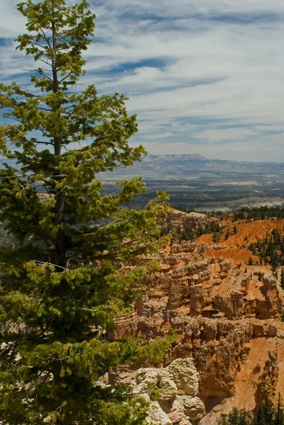 Red rock formation in bryce canyon park — Stock Photo, Image