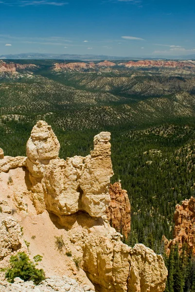 Formación de roca roja en el parque del cañón de Bryce —  Fotos de Stock