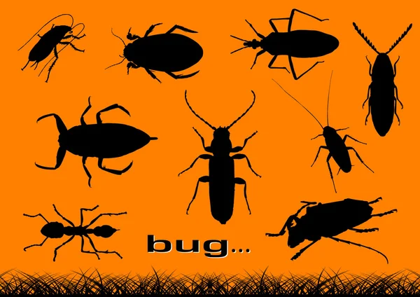 Bugs — Stock Vector
