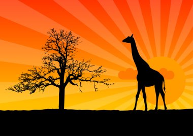 Giraffe clipart