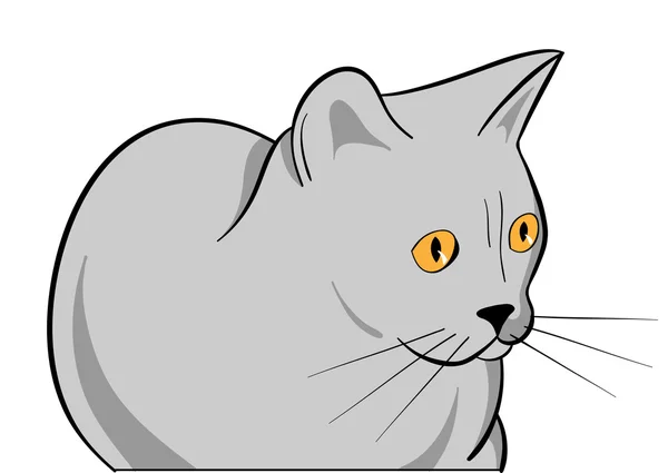 Katt — Stock vektor