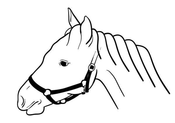 At kafası — Stok Vektör