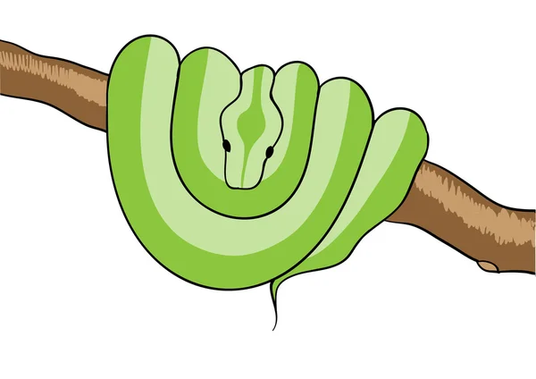 Serpiente — Vector de stock