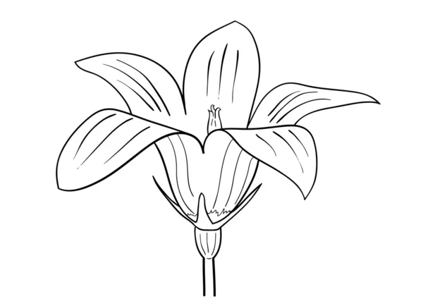 Квітка — стоковий вектор