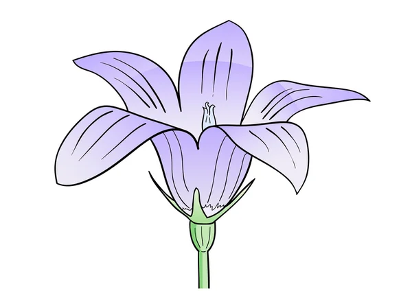 Fialový květ — Stockový vektor