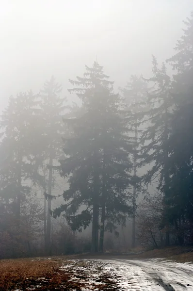 多雾 — 图库照片