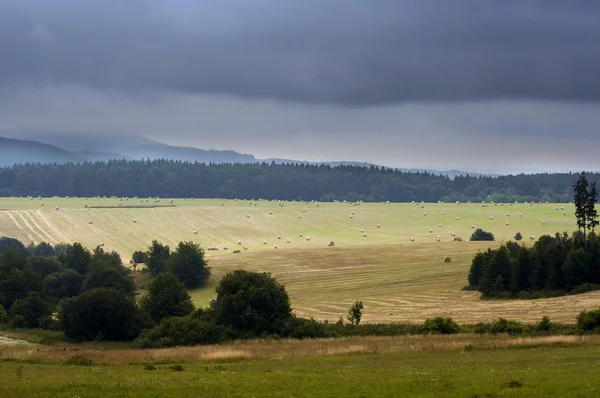 Landschaft - Felder, Wiesen, Wald — Stockfoto