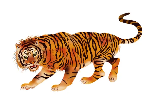 Tigre de marche — Image vectorielle