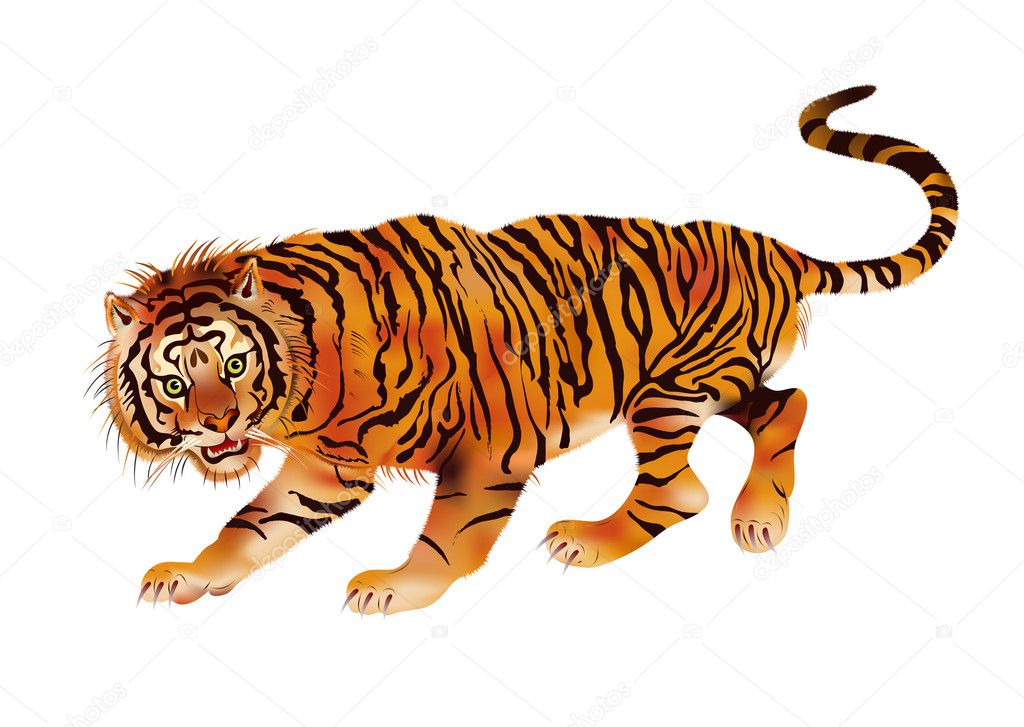 Walking tiger