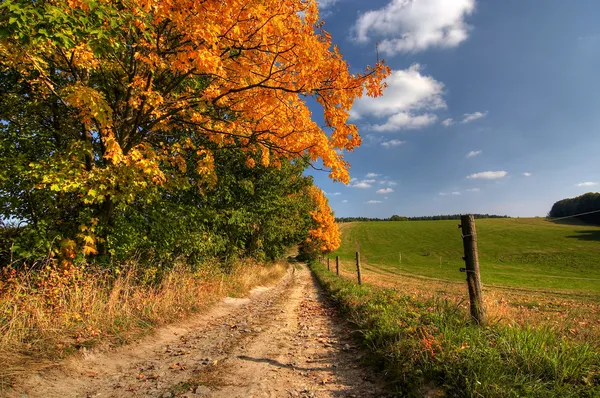 Estrada rural e árvores de outono — Fotografia de Stock